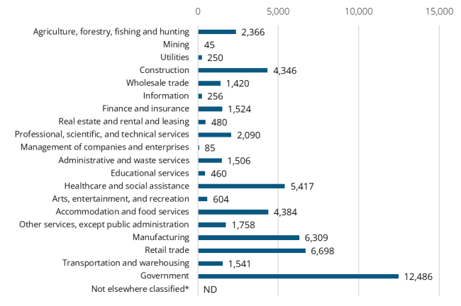 A bar graph showing the 2024 annual average industry employment in Skagit County