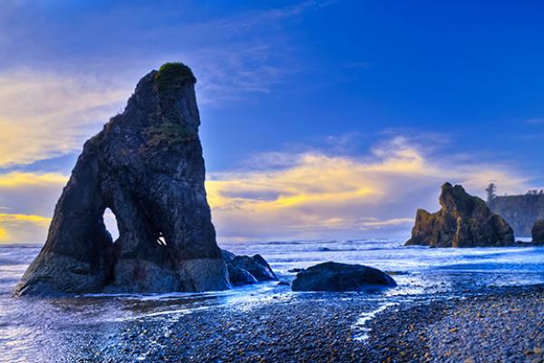 washington state ocean beach